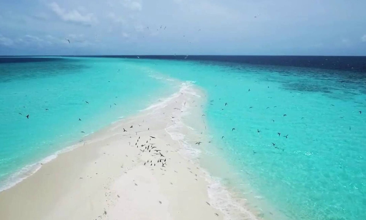 Ukulhas House | New Moon Village