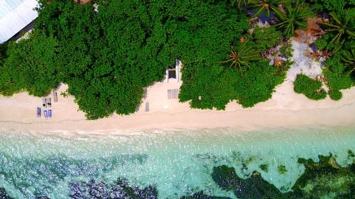 Rasdhoo Island Inn | Rasdhoo