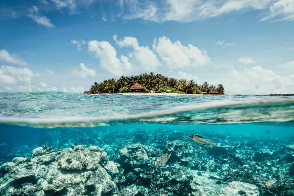 Funamadua Resort | ROBINSON MALDIVES - Adults only