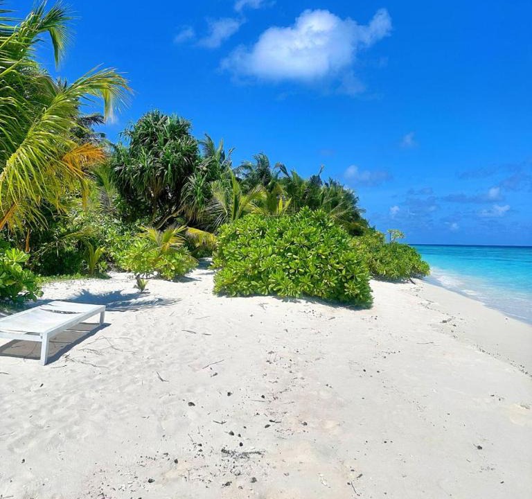 Kelaa Hotel | Tropical Sands By Reef Tour