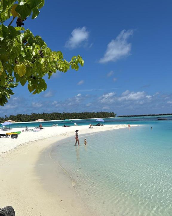 Dhiffushi Hotel | VelaaVani - Turtle Hive Dhiffushi