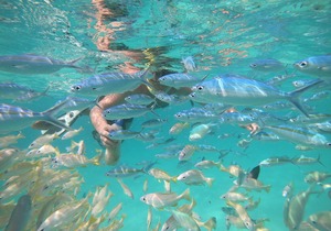 Room at White Coral Rasdhoo