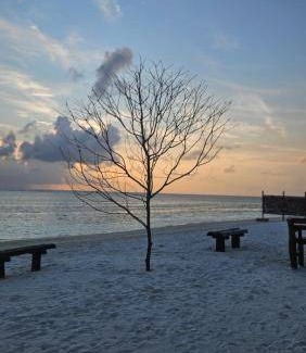 Kaashidhoo Bed & Breakfast | 16 m² Bed and breakfast ∙ 3 guests