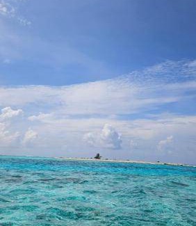 Kaashidhoo Bed & Breakfast | 16 m² Bed and breakfast ∙ 3 guests