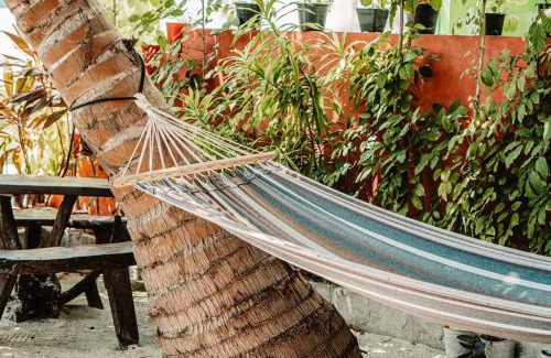 Maafushi House | Oceana Boutique