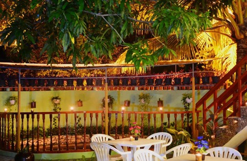 Maamigili House | Palm Tree Maamigili