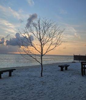 Kaashidhoo Bed & Breakfast | 16 m² Bed and breakfast ∙ 3 guests