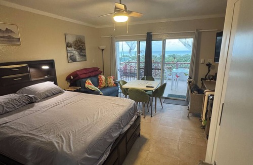 East End Apartment | BVI HEAVEN on beach. Full resort. Batchelor room with huge balcony ocean view