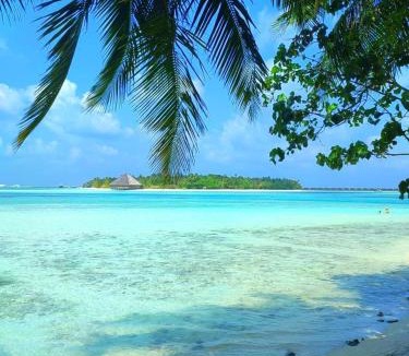 Dhiffushi Hotel | Portia Hotel & Spa - Beachfront