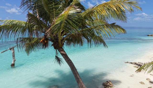 Beach House Maldives in Keyodhoo