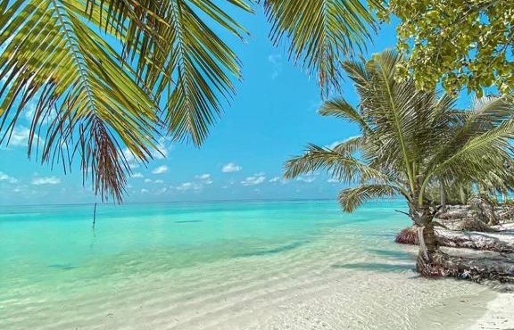 Happy Feet Inn in Kaashidhoo