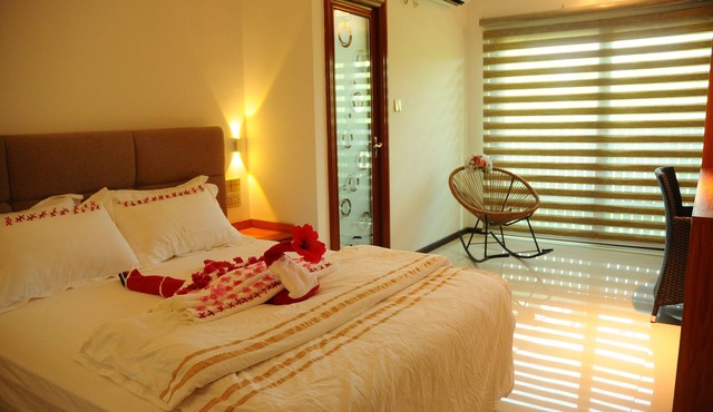 Palm Rest in Kaashidhoo