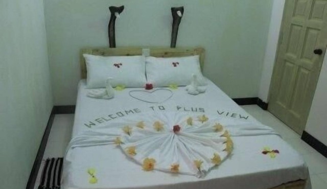 Plus View Maldives in Thulhaadho