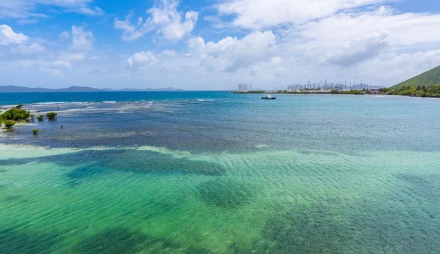 Suncrest Reef in Tortola