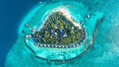 Taj Coral Reef Resort & Spa,Maldives - Premium All Inclusive with Free Transfers in Hembadhu