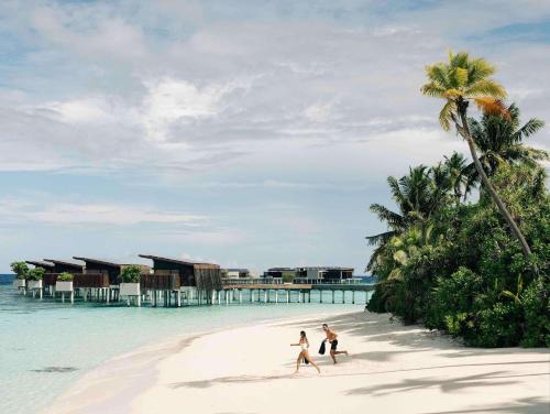 Park Hyatt Maldives 