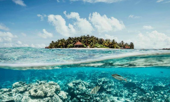Funamadua Resort | 77 m² Resort ∙ 127 guests