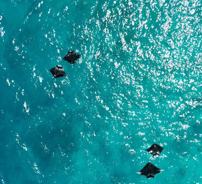 Mahibadhoo Hotel | Raalhu Fonu Maldives
