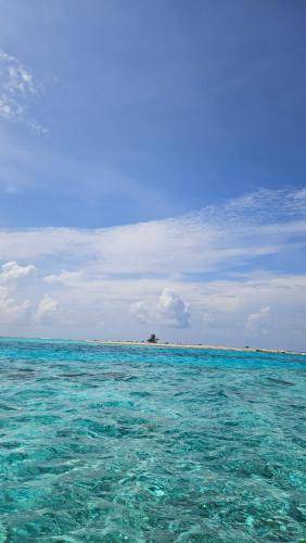 Photo of Others in Kaashidhoo
