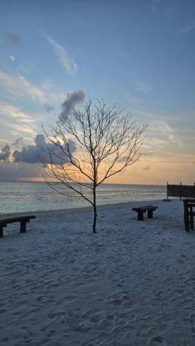 Photo of Others in Kaashidhoo