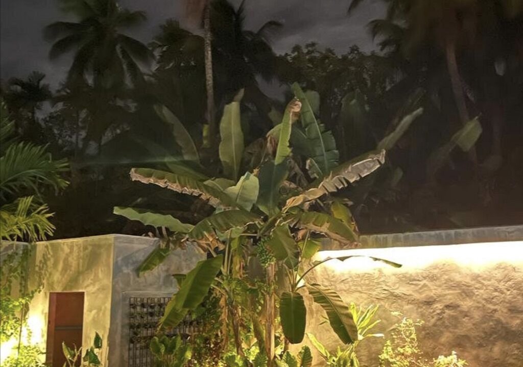 Photo of Outdoor in Fuvahmulah