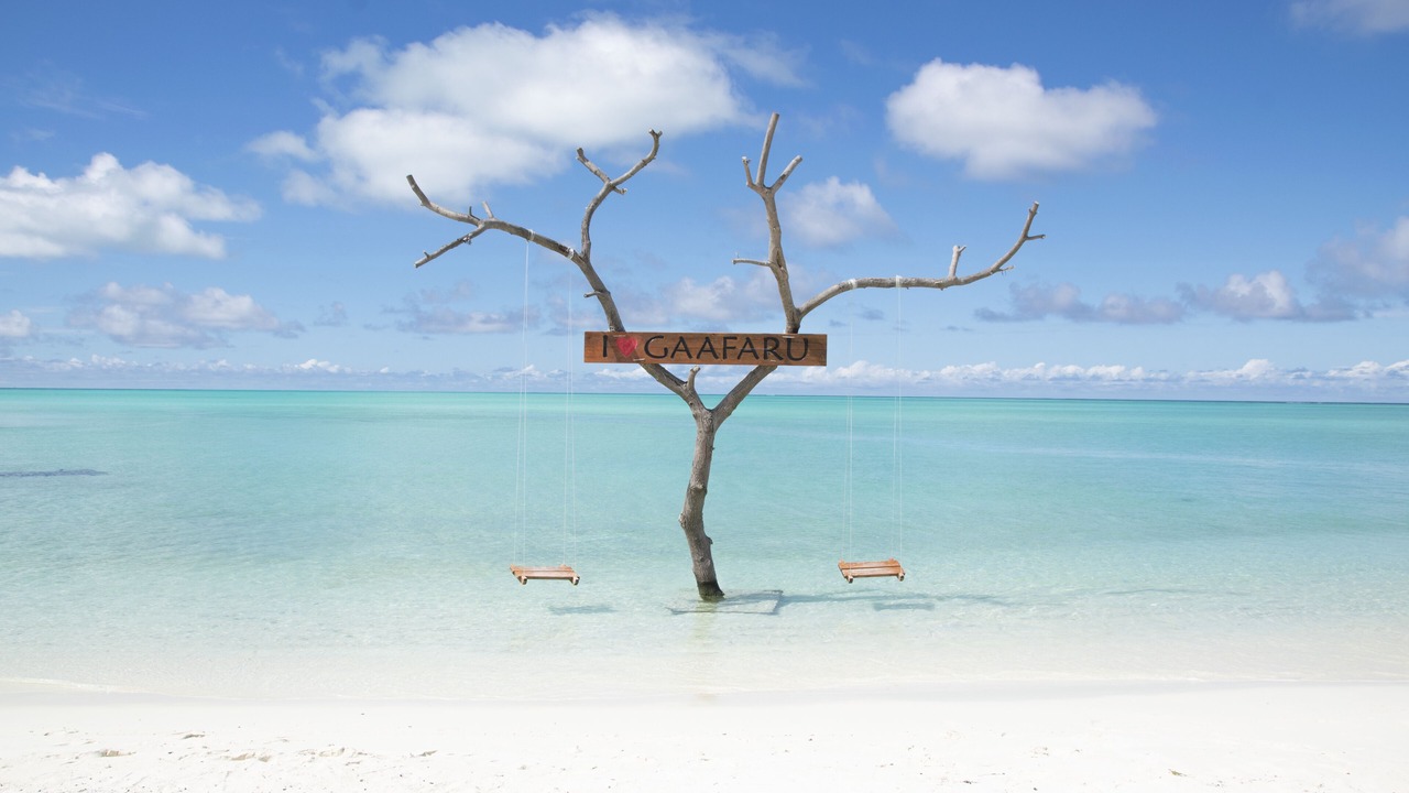 Photo of Others in Gaafaru