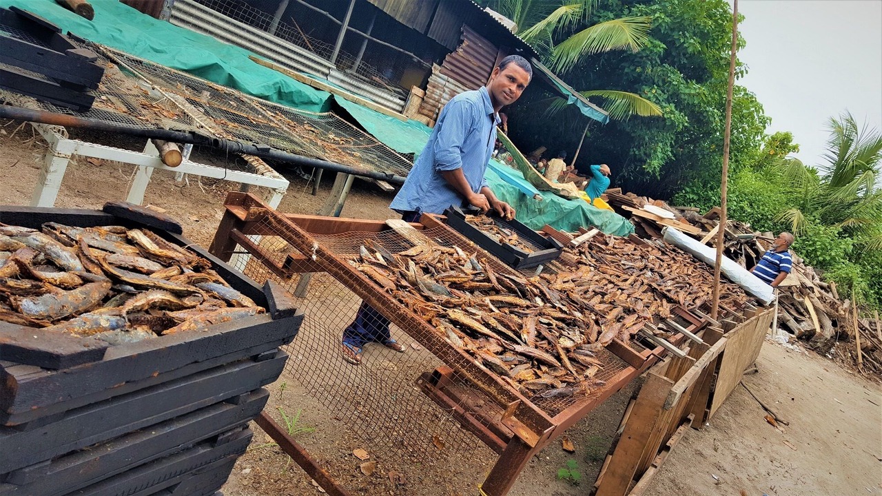 Photo of Others in Kurendhoo