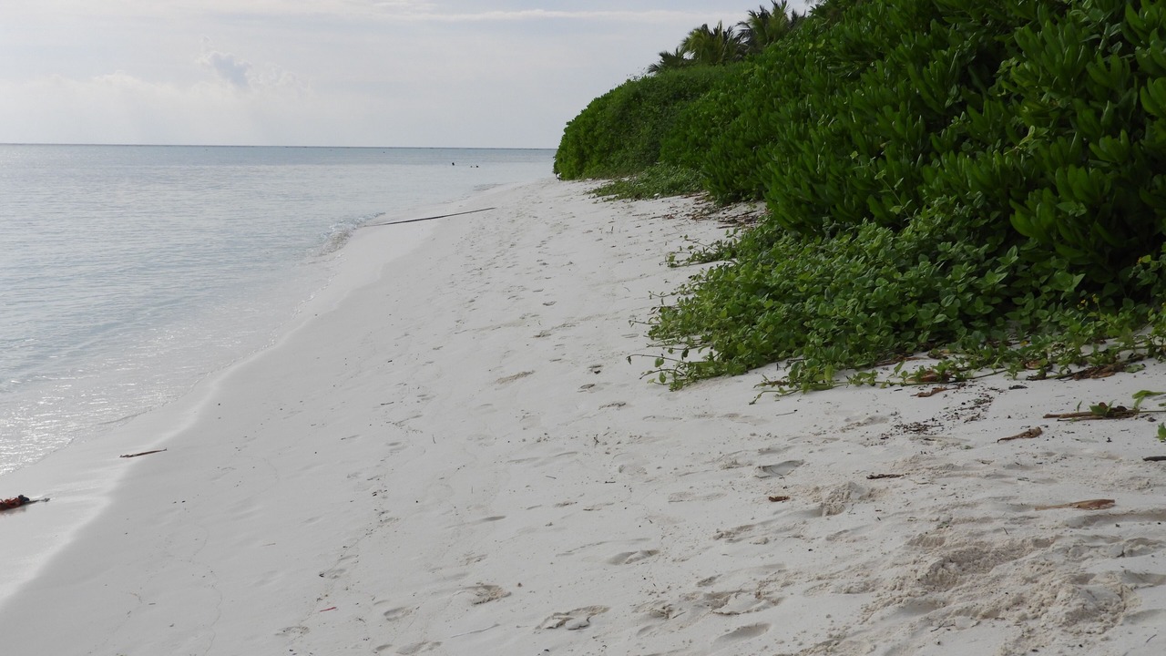 Photo of Outdoor in Thoddoo