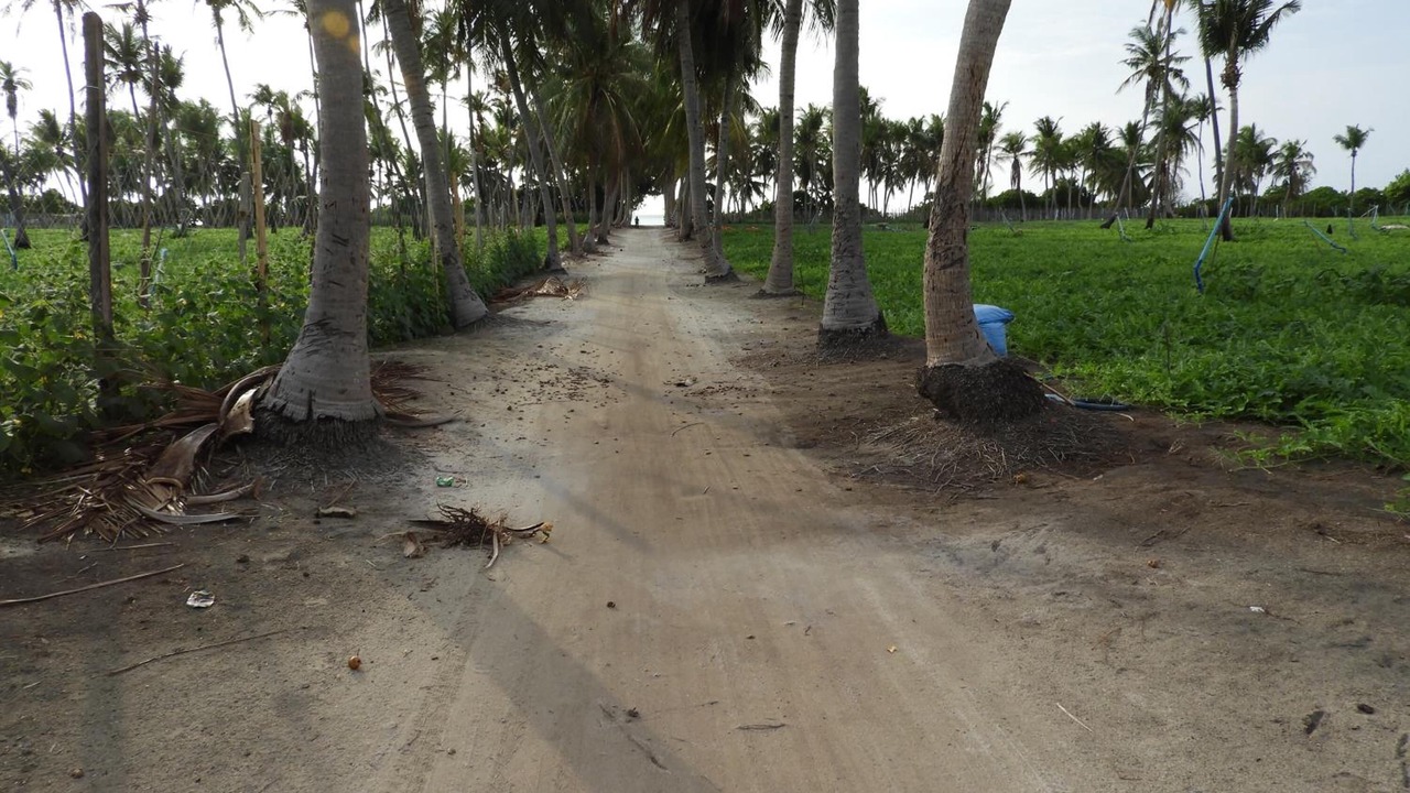 Photo of Outdoor in Thoddoo