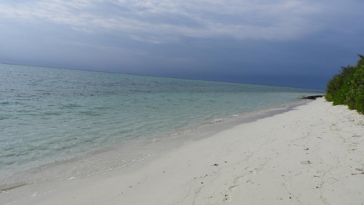 Photo of Others in Thoddoo
