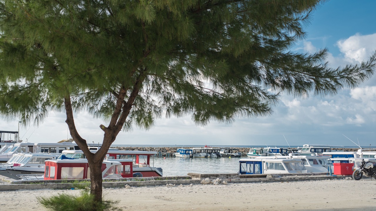 Photo of Others in Maafushi