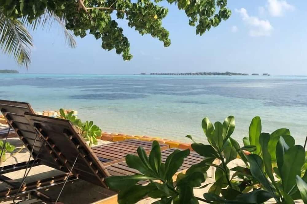 Photo of Others in Guraidhoo