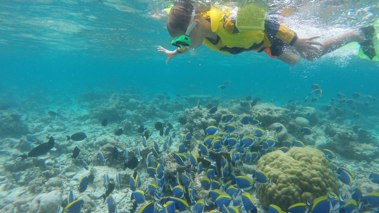 Photo of Others in Gaafaru