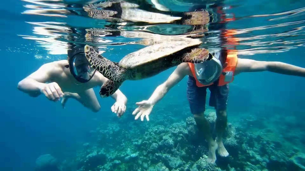 Photo of Others in Gaafaru