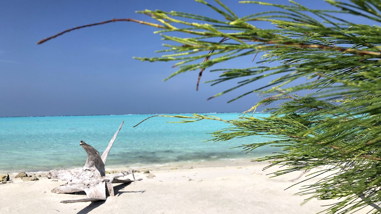 Photo of Others in Gaafaru