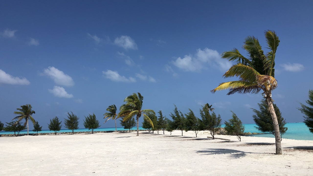 Photo of Others in Gaafaru