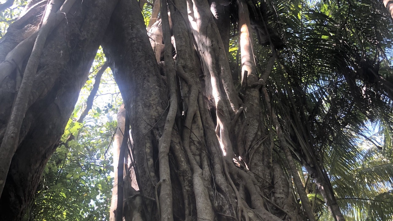 Photo of Outdoor in Kelaa