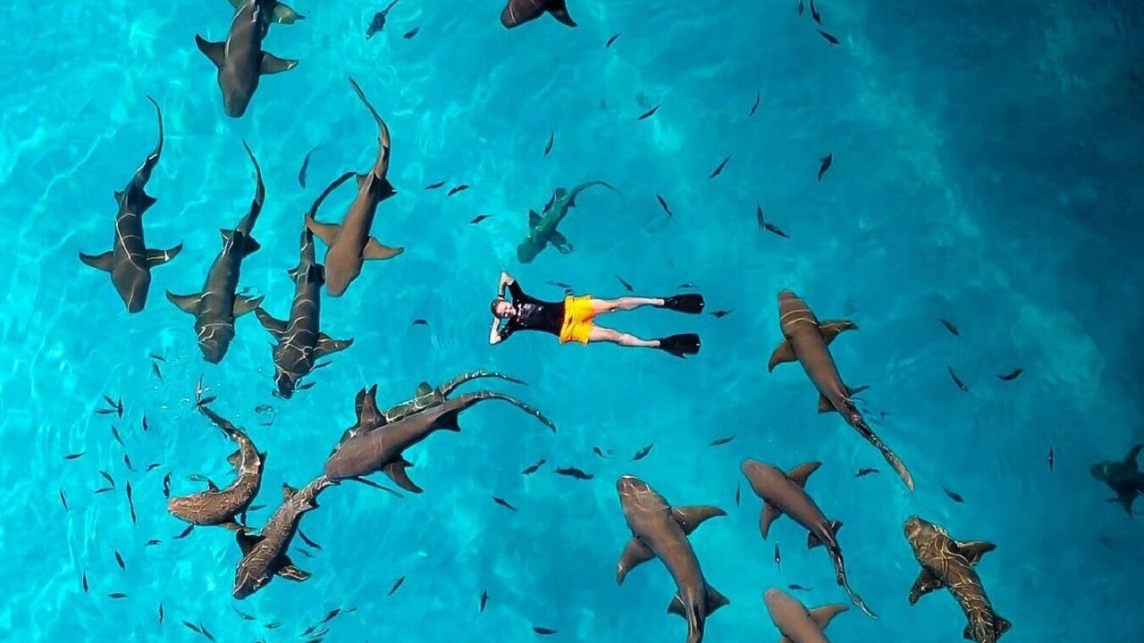 Photo of Others in Dhiffushi