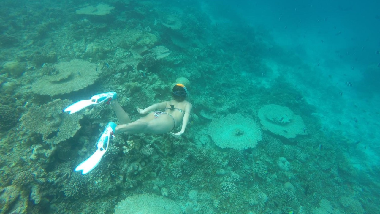 Photo of Others in Rasdhoo
