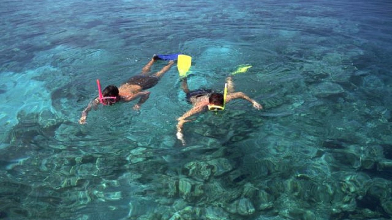 Photo of Others in Thulusdhoo Island