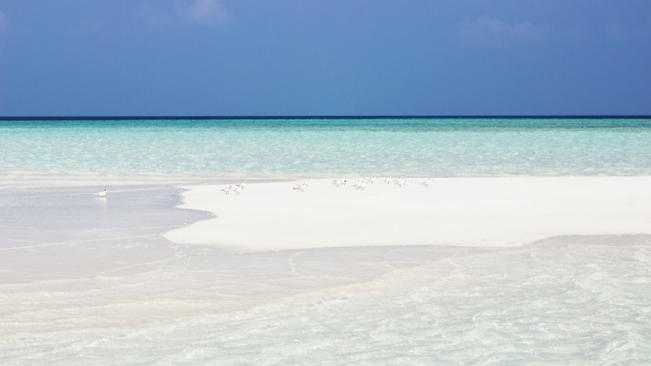 Photo of Others in Thoddoo