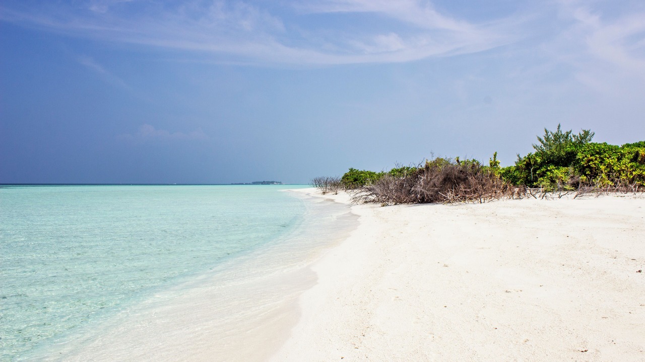 Photo of Others in Thoddoo