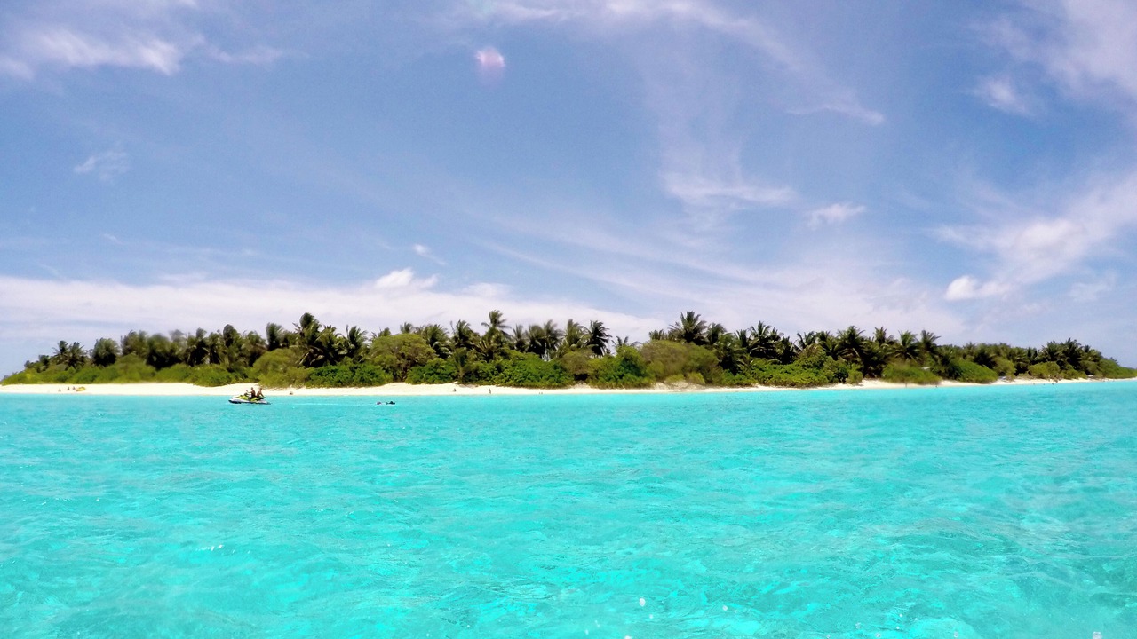 Photo of Others in Thoddoo