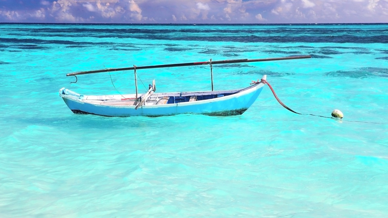 Photo of Others in Thoddoo