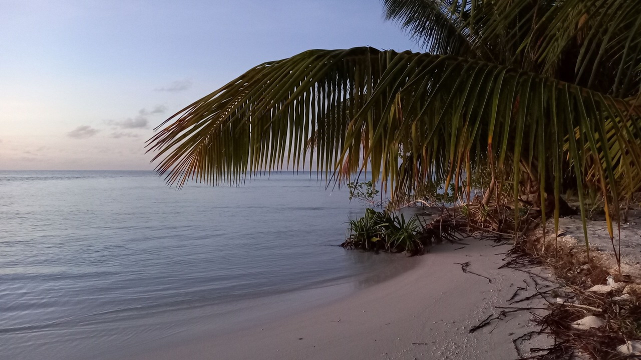 Photo of Outdoor in Fiyoari Island