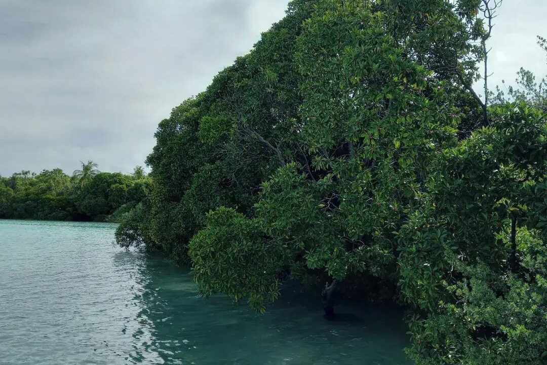 Photo of Outdoor in Fiyoari Island
