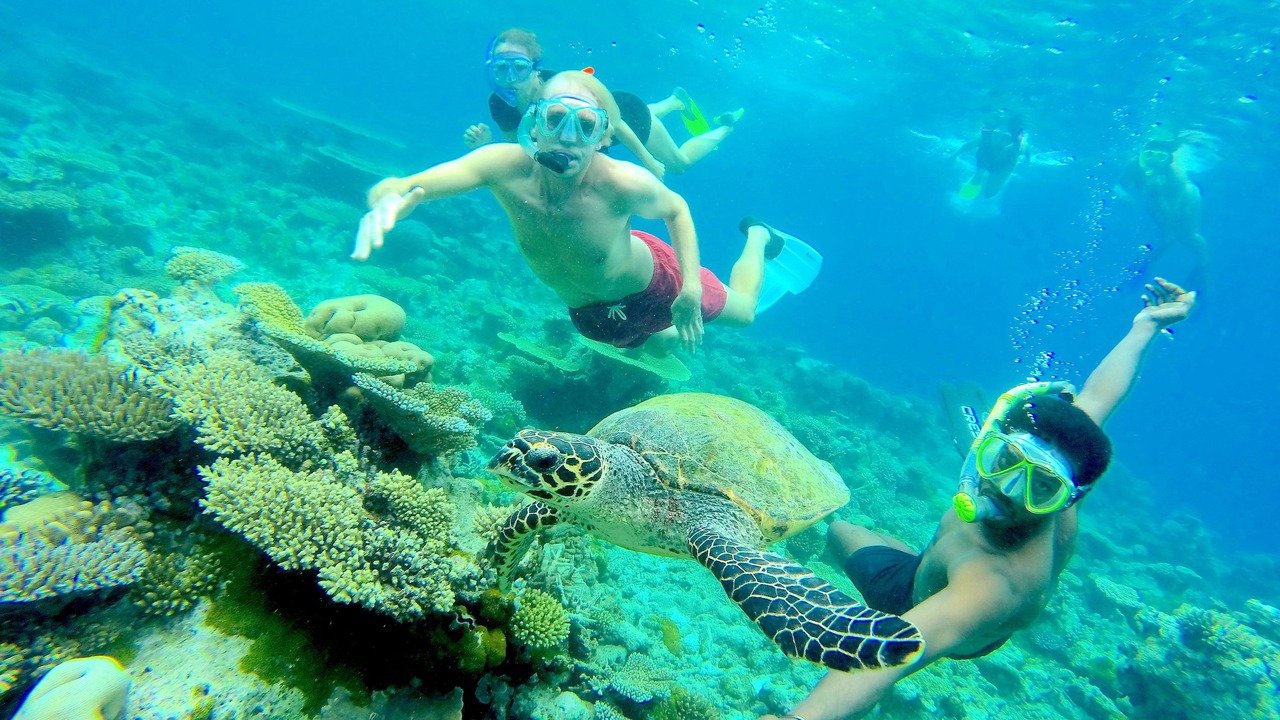 Photo of Others in Maafushi