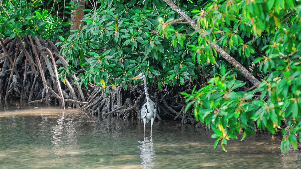Photo of Outdoor in Huraa