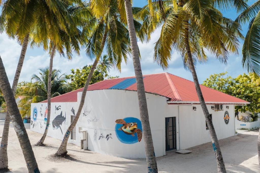 Photo of Outdoor in Dhidhoofinolhu Island