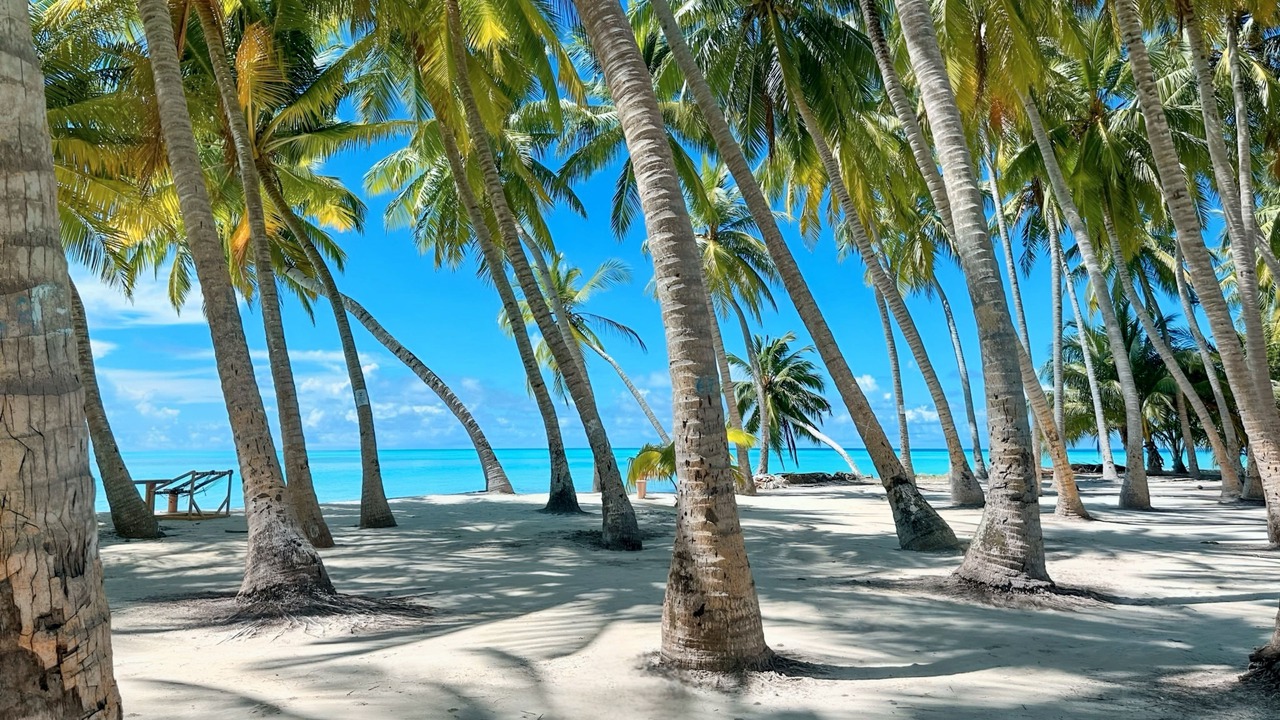 Photo of Others in Mathiveri
